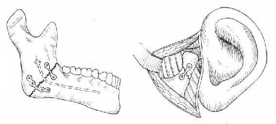 第三军医大学第二附属医院-新桥医院