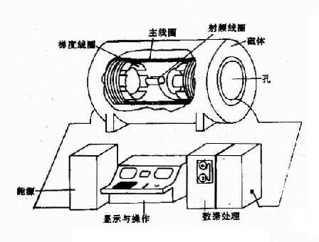 mr检查是什么原理_心脏彩超是检查什么的(3)