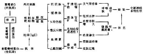 第三军医大学第二附属医院-新桥医院