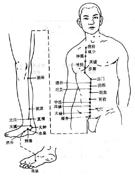 图10-36  足少阴肾经穴位