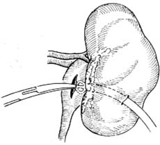 第三军医大学第二附属医院-新桥医院