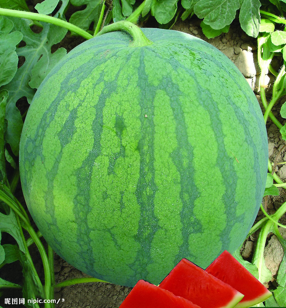 20022214901.jpg