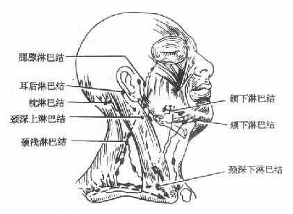 jpg (44857 字节)